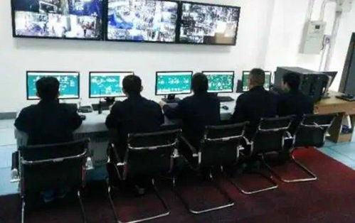 雙樂股份 以綠色工廠與核心產(chǎn)品引領(lǐng)行業(yè)發(fā)展